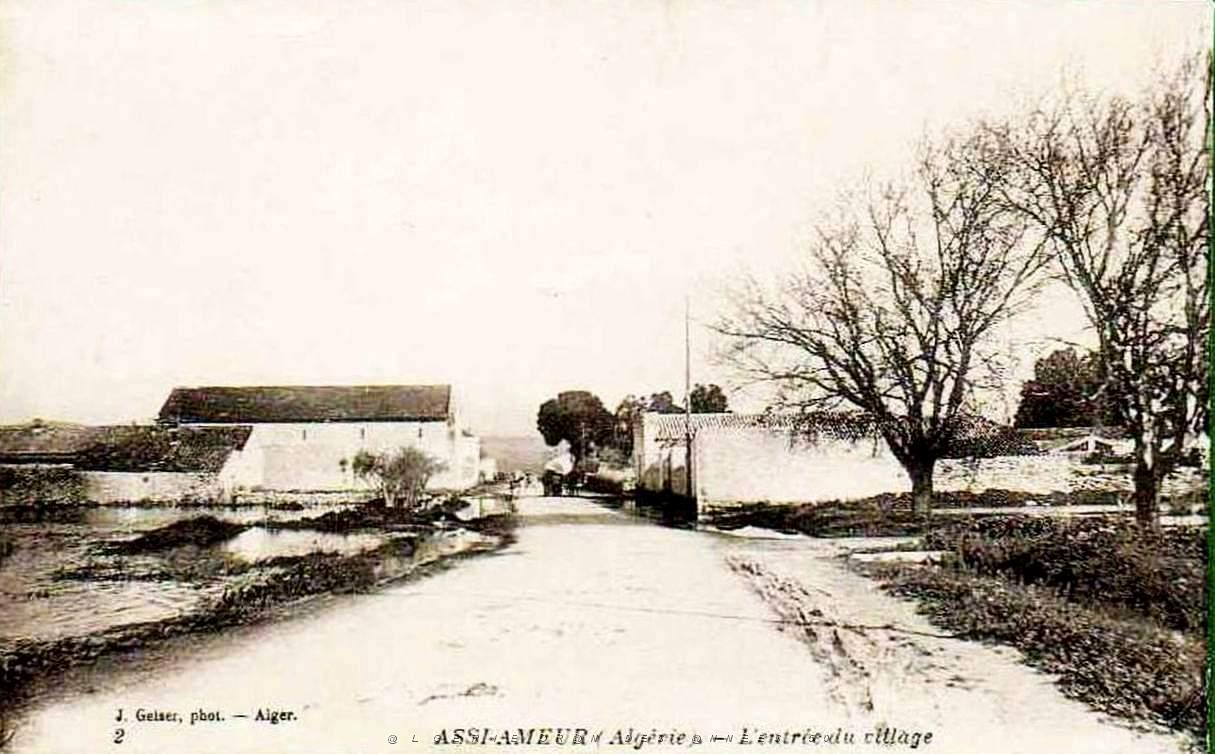 Assi ammeur 100.jpg